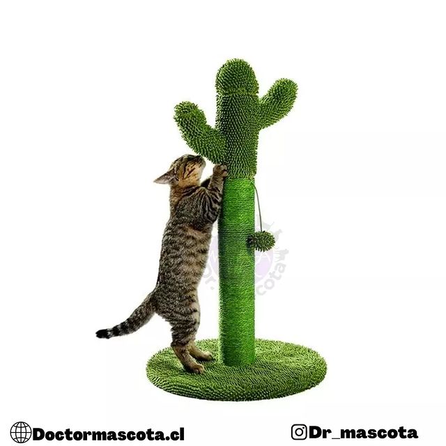 Oferta rascador sales gato