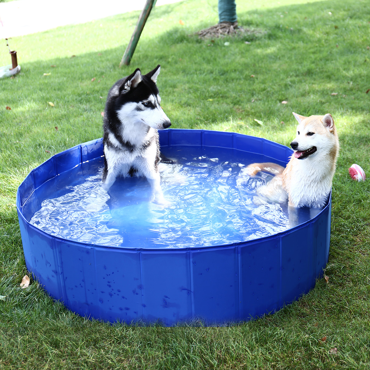 Piscina para perro - 120 x 30 cm (Detalle en empaque) —