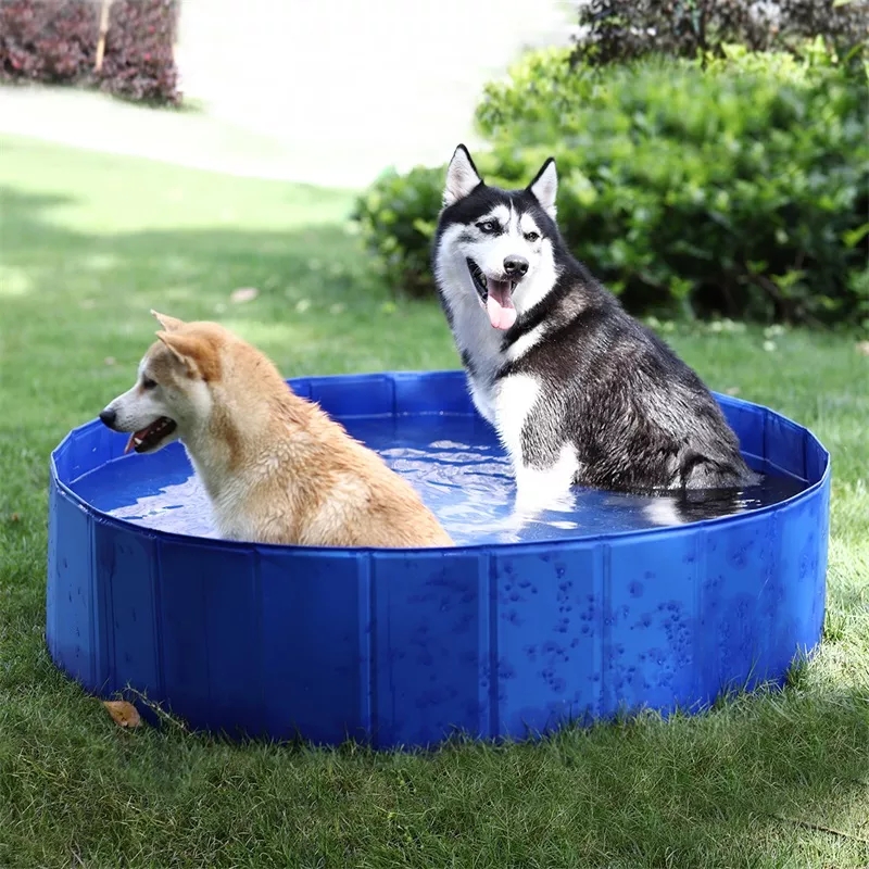 Piscina para Mascotas 