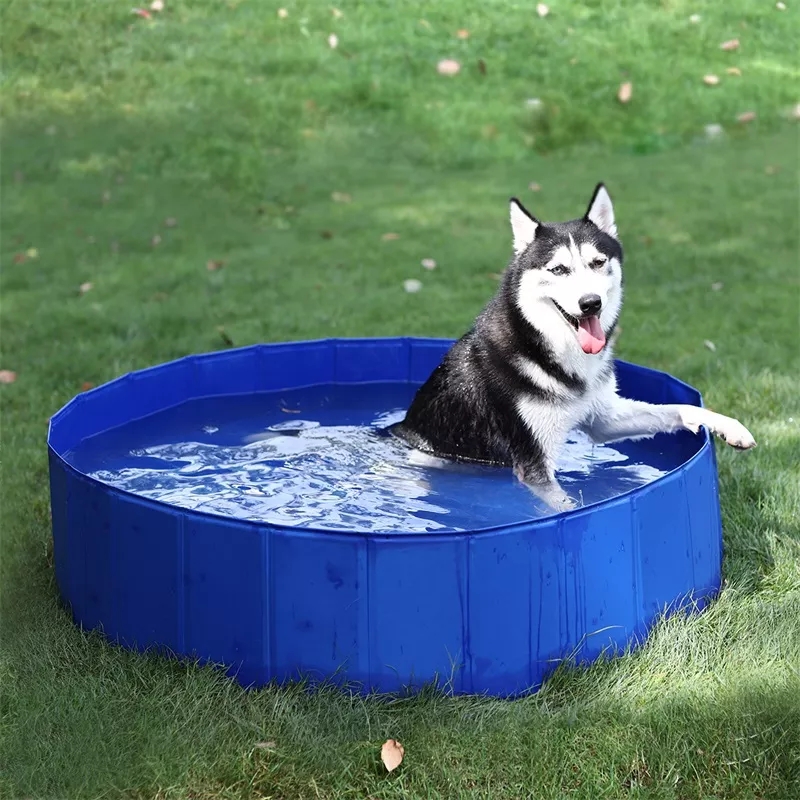 Piscina para perro - 120 x 30 cm (Detalle en empaque) —