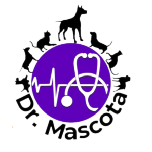 Logo de //doctormascota.cl