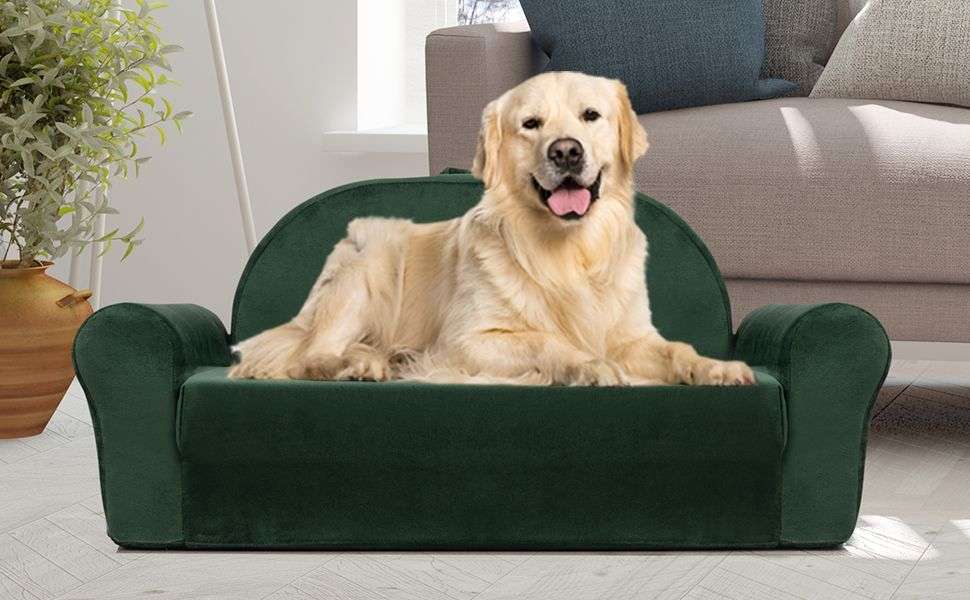 Sofá cama convertible 2 en 1 para mascotas con espuma de apoyo y funda lavable con cremallera.