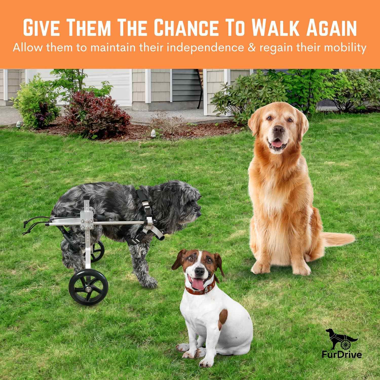 Silla de Rueda de Aluminio para Perros para Patas Traseras L - Imagen 7