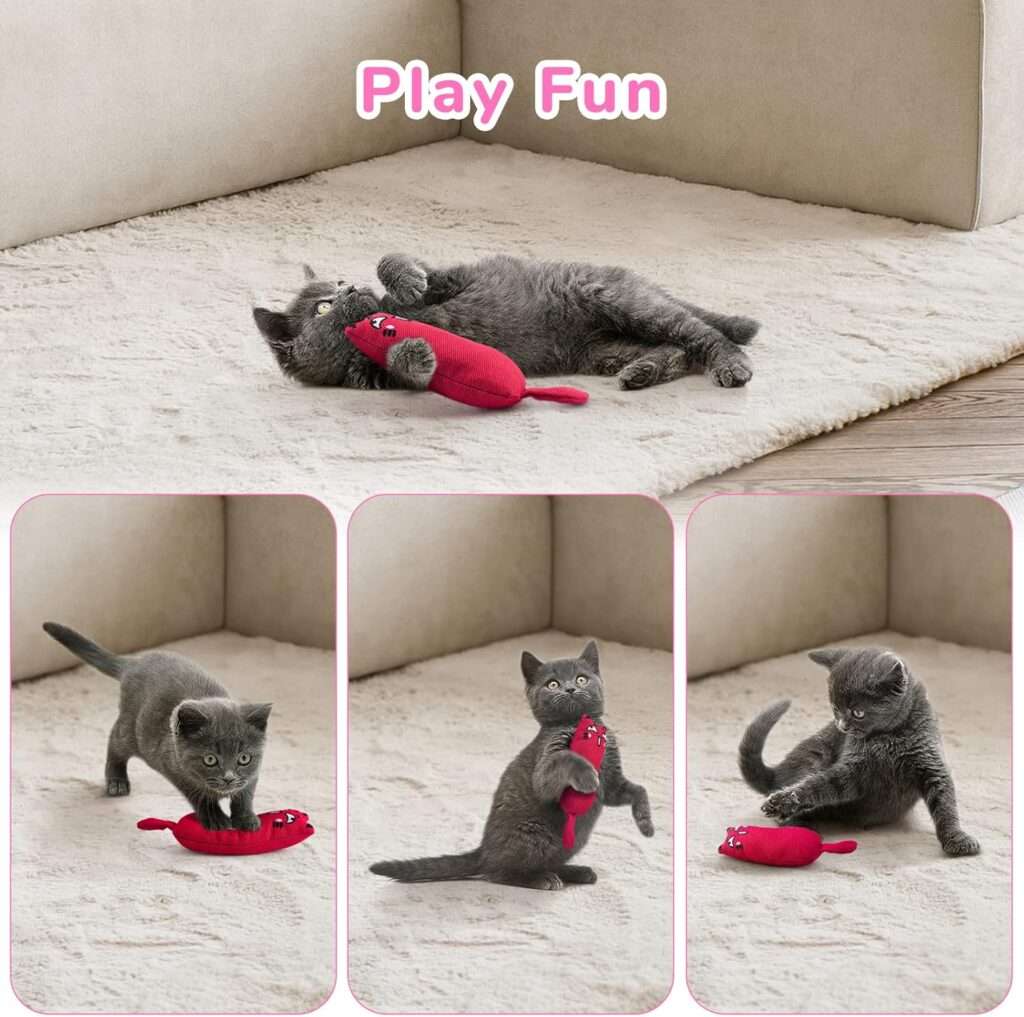 set de 5 piezas de juguetes de peluche masticables para gatos ideal para chile