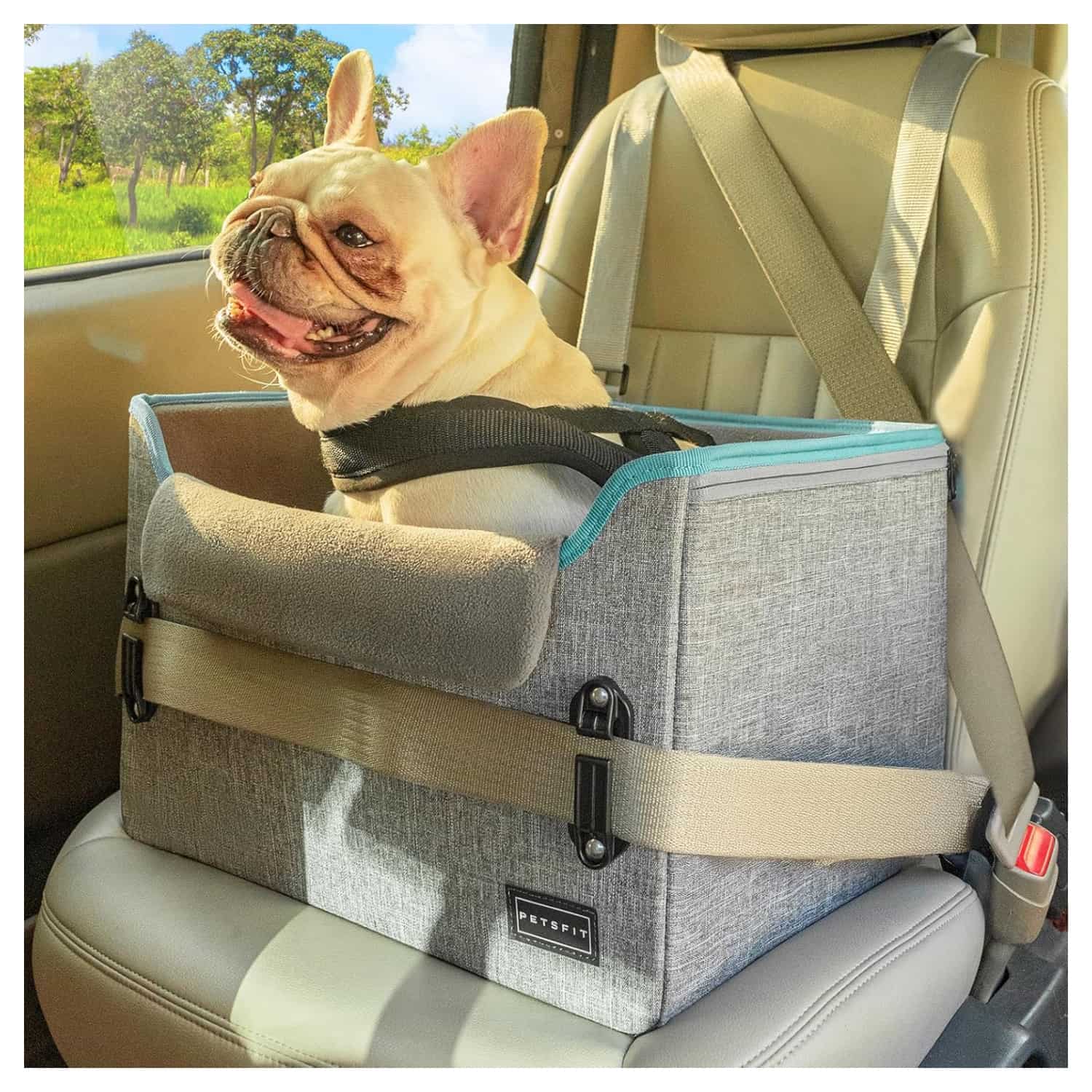 Asiento elevado de auto para perros pequeños con correas de seguridad y forro polar
