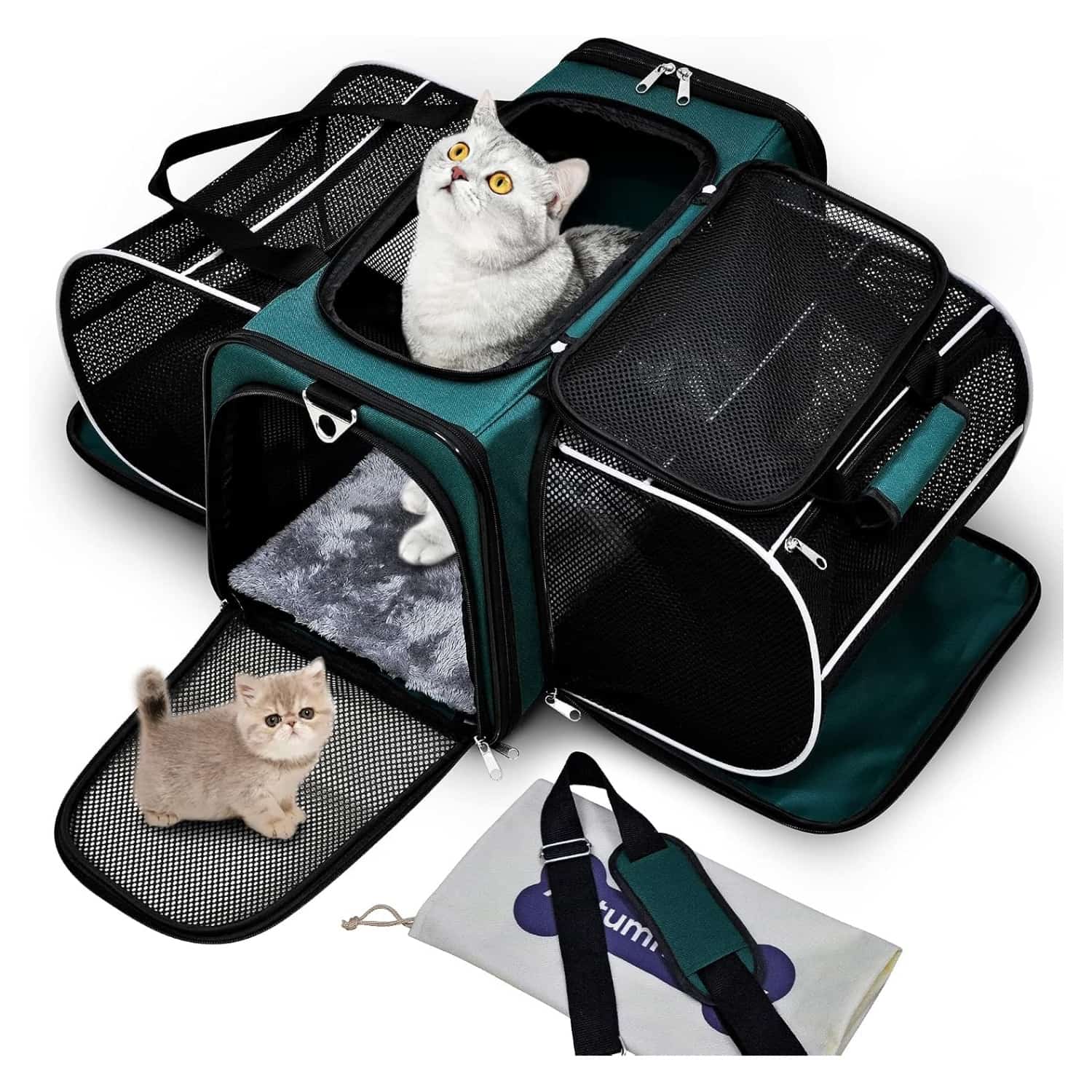 Bolso transportador de mascotas para viajes con diseño vertical base rigida y malla transpirable