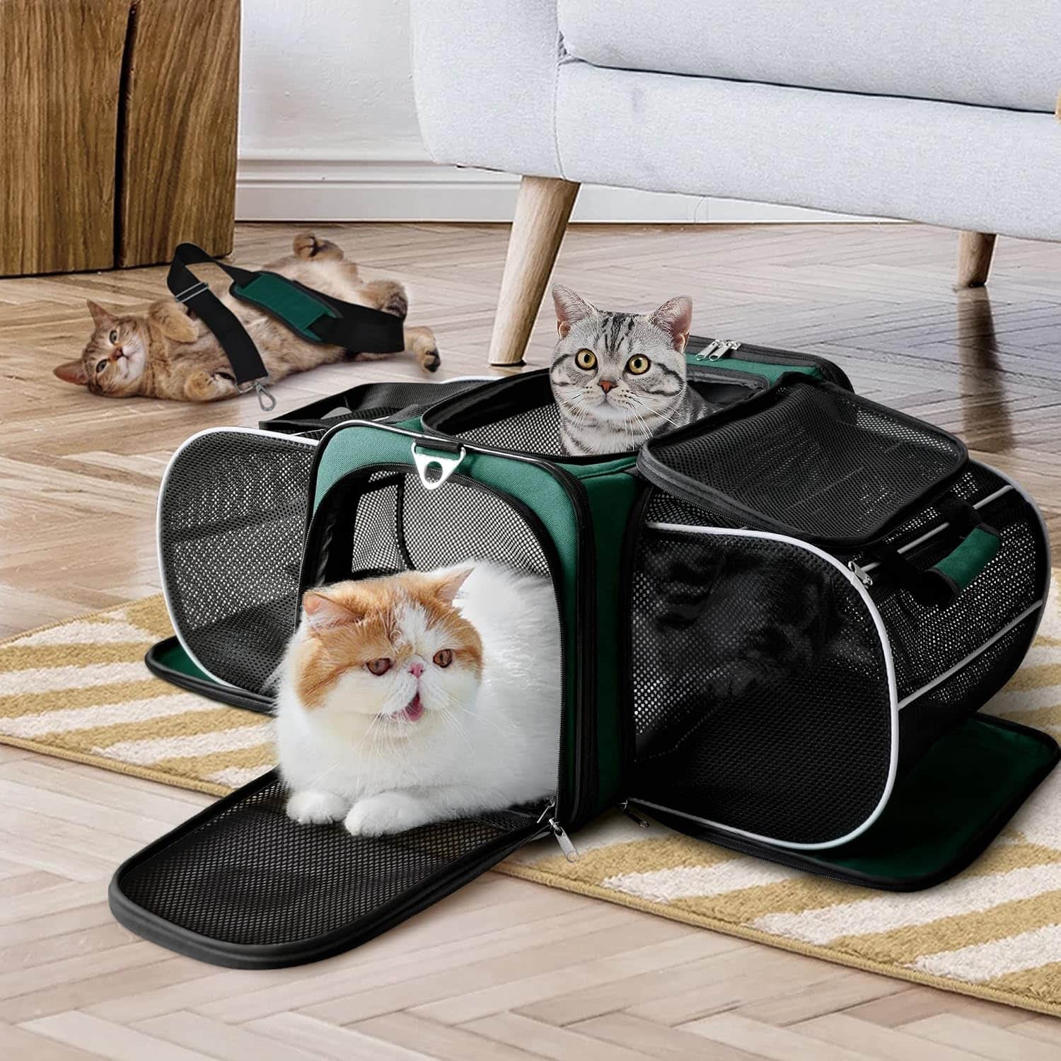 Bolso transportador de mascotas para viajes con diseño vertical base rigida y malla transpirable
