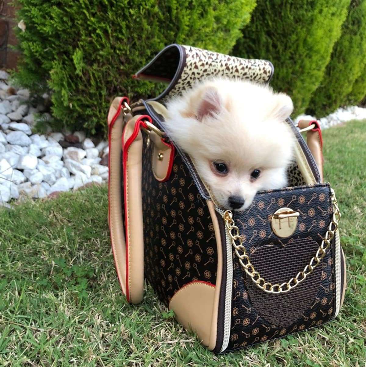 Bolso transportador de lujo en piel sintética para mascotas pequeñas, ideal para viajes en avión.
