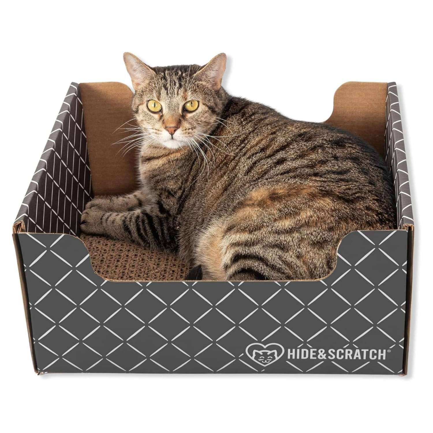 Caja rascadora de cartón para gatos con bordes festoneados y materiales ecológicos.