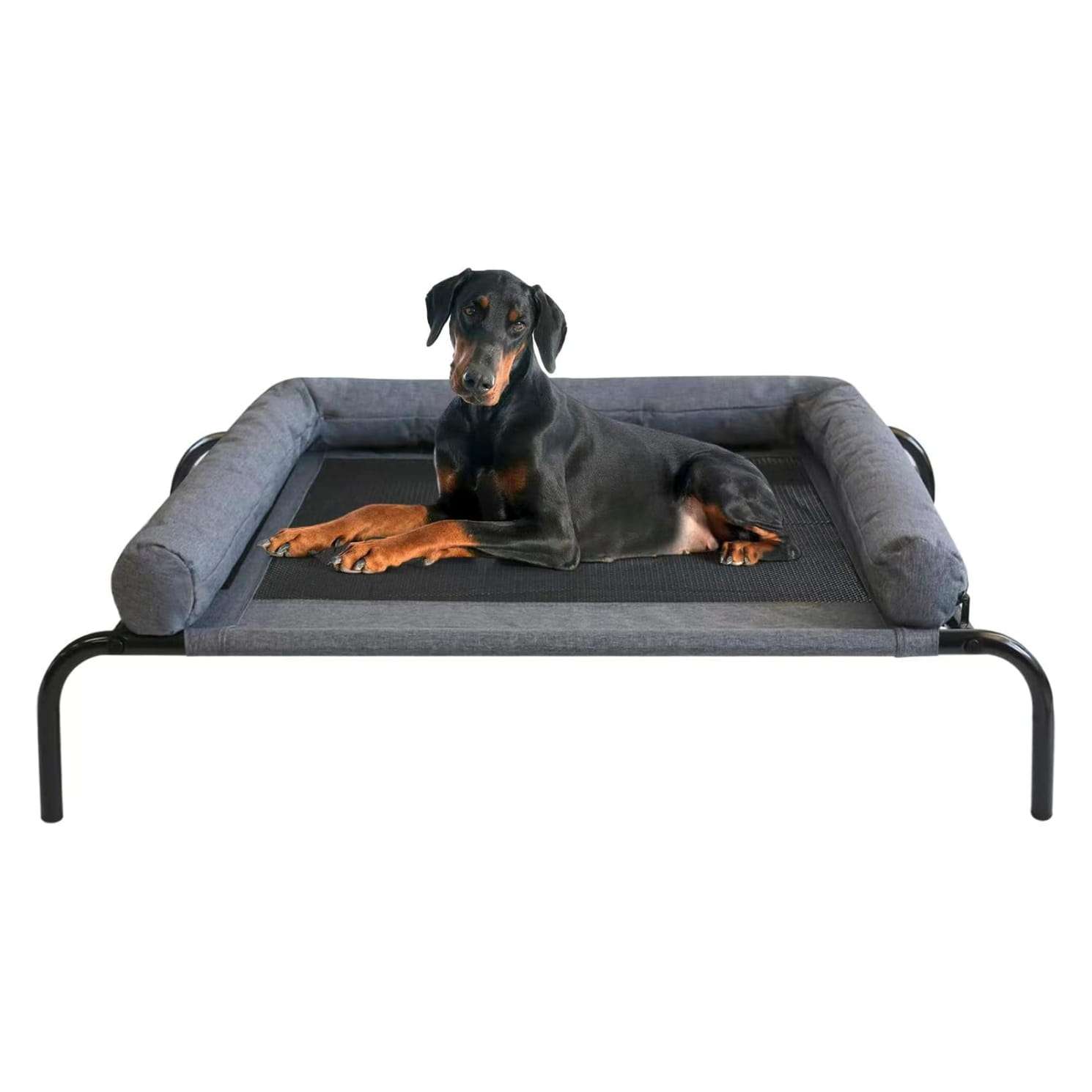 Cama elevada reforzada para perros de acero y tela impermeable