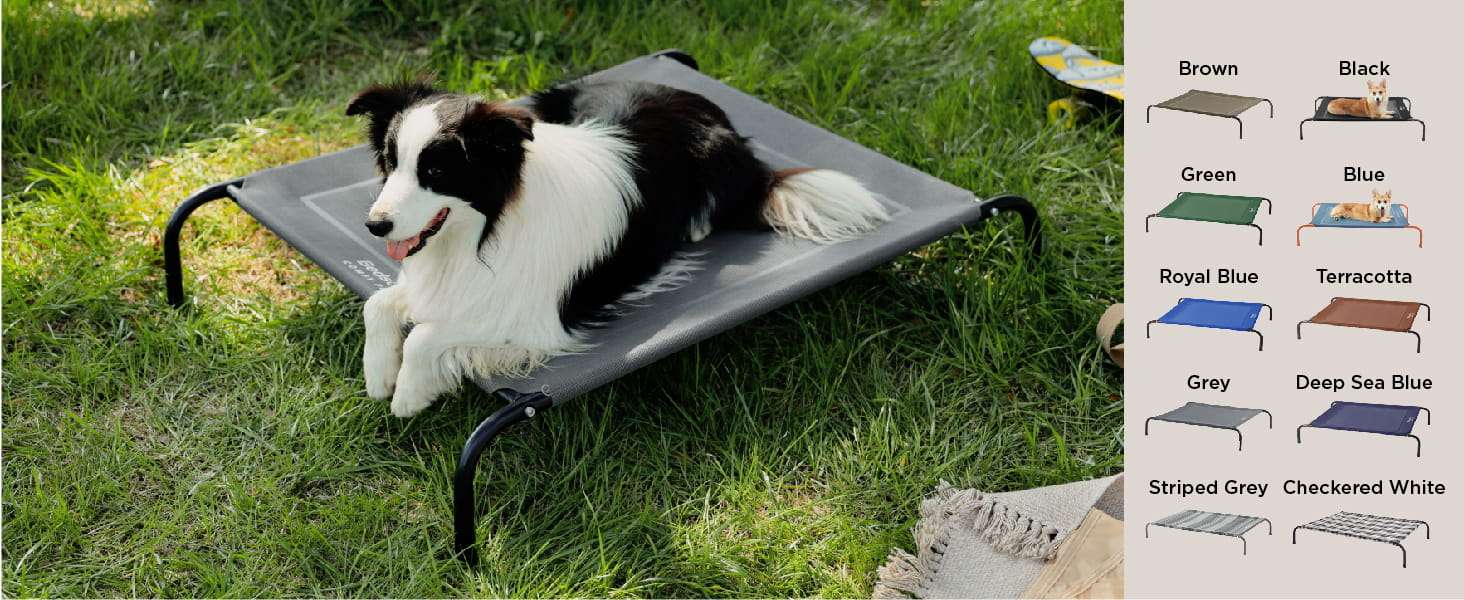 Cama elevada refrescante para perros con malla transpirable y estructura de metal