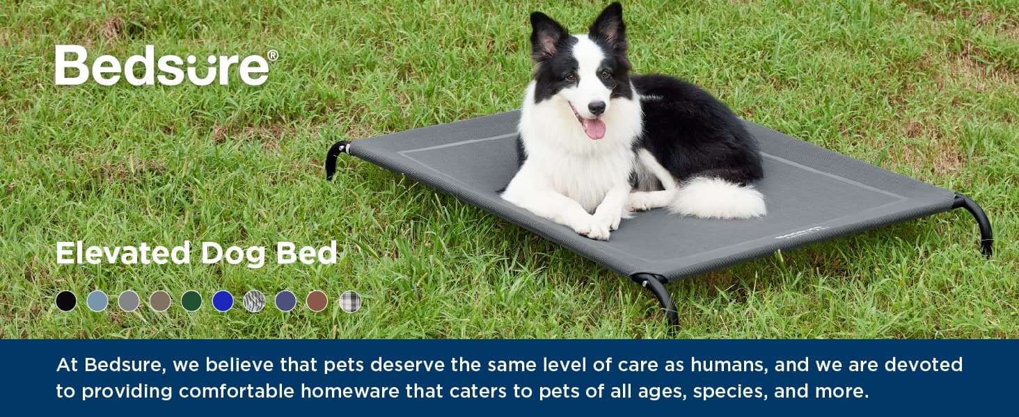 Cama elevada refrescante para perros con malla transpirable y estructura de metal