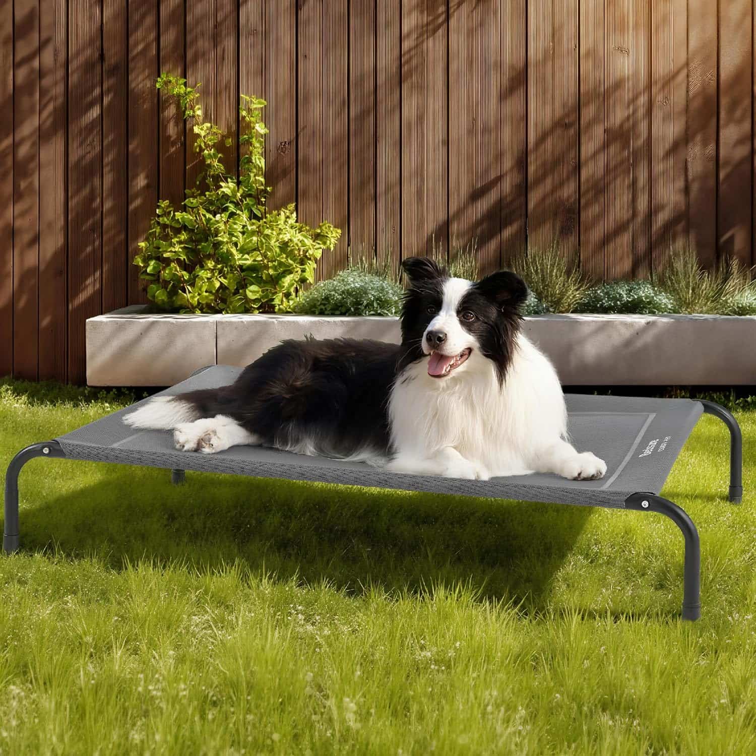 Cama elevada refrescante para perros con malla transpirable y estructura de metal