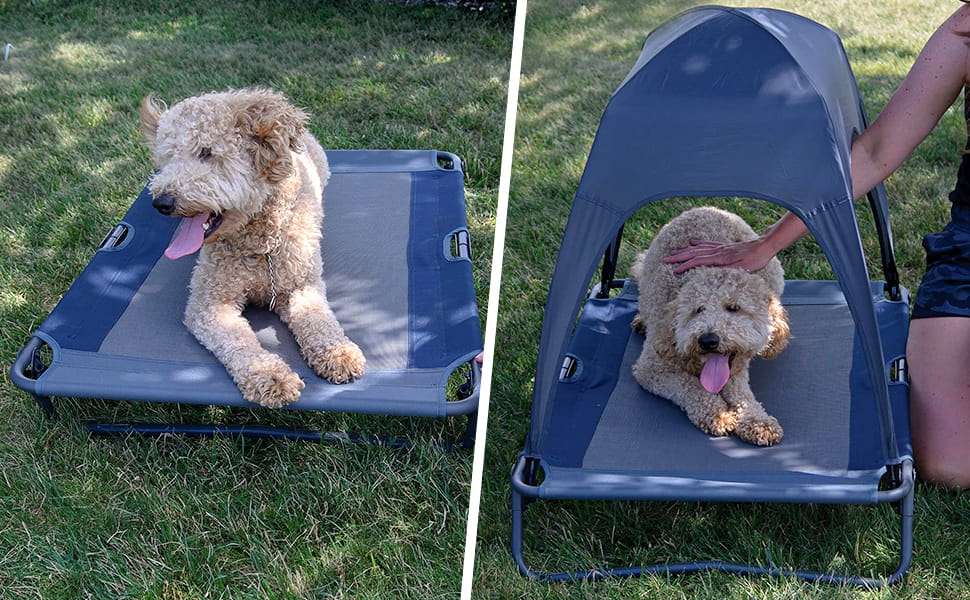 Cama Refrescante Elevada con Techo para Perros 96x66x18 Cm - Imagen 5