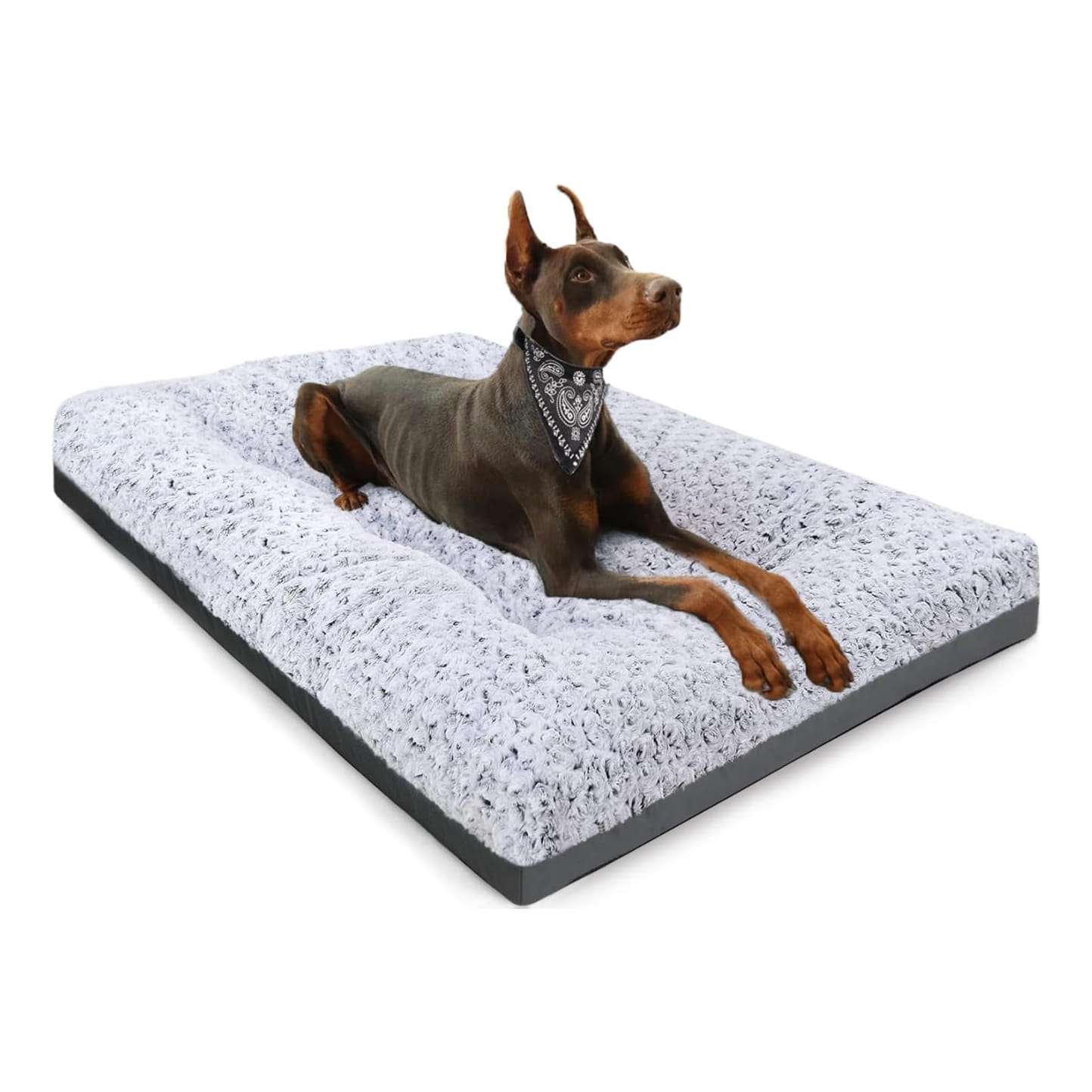 Cama premium para perros con superficie de terciopelo rosa bordes resistentes y base impermeable.