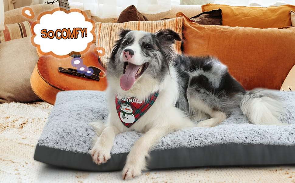 Cama premium para perros con superficie de terciopelo rosa bordes resistentes y base impermeable.
