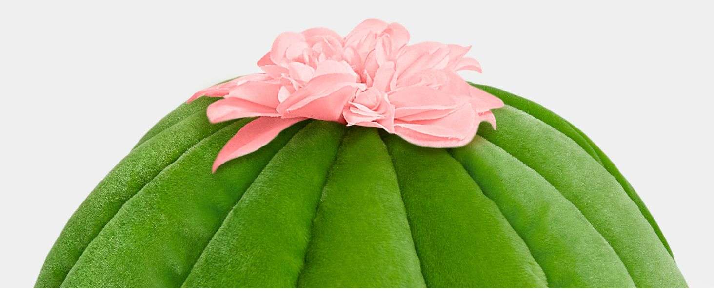 Cama cueva de felpa con diseño de cactus y cojín extraíble para gatos y perros pequeños.