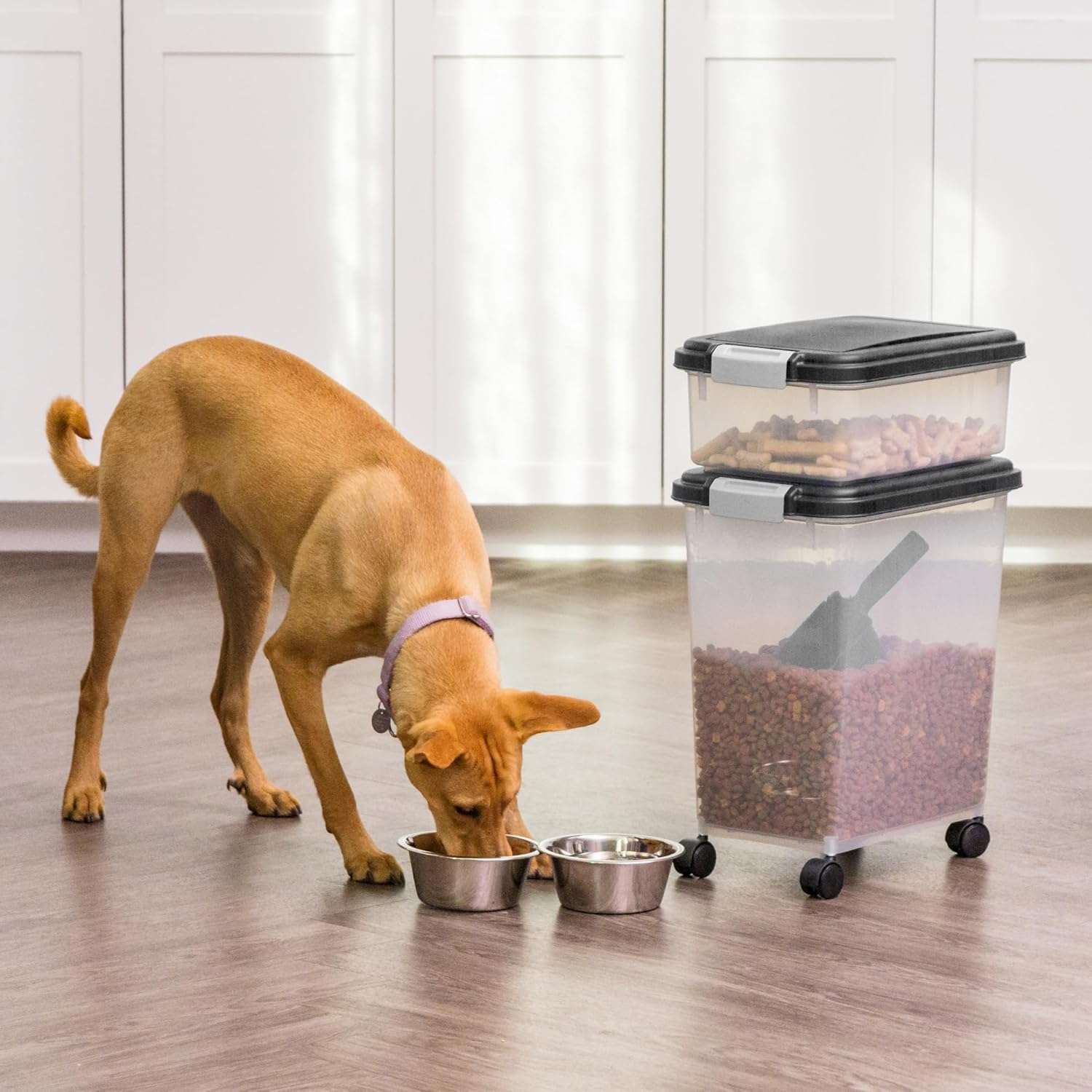 Contenedor Doble Hermético con Ruedas para Almacenar Comida de Mascotas 13.6Kg + 5 Kg - Imagen 8