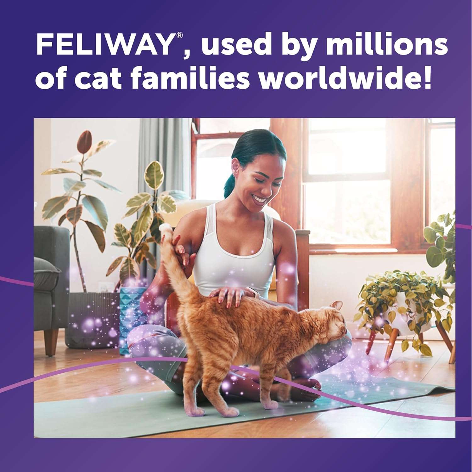 paquete de seis repuestos feliway classic de feromonas calmantes para gatos con cobertura de 65 metros cuadrados ideal para chile
