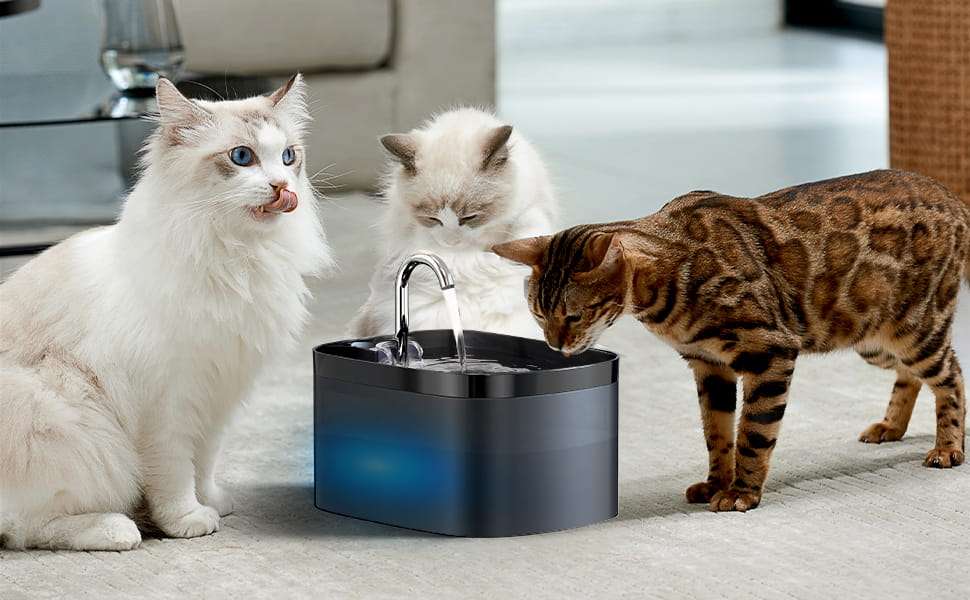 Fuente de agua automatica para gatos con diseno tipo grifo luz LED y gran capacidad.