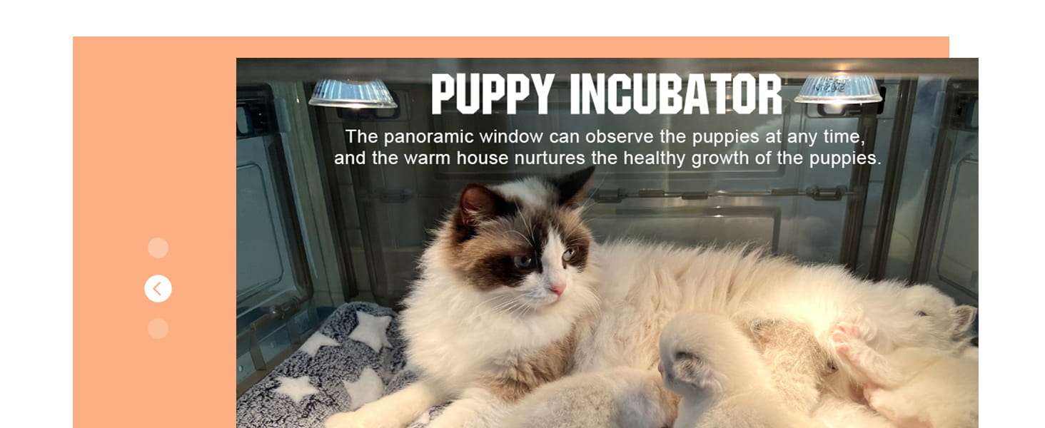 Incubadora transparente para cachorros y gatitos con lampara de calor ventilador y kit de alimentacion.
