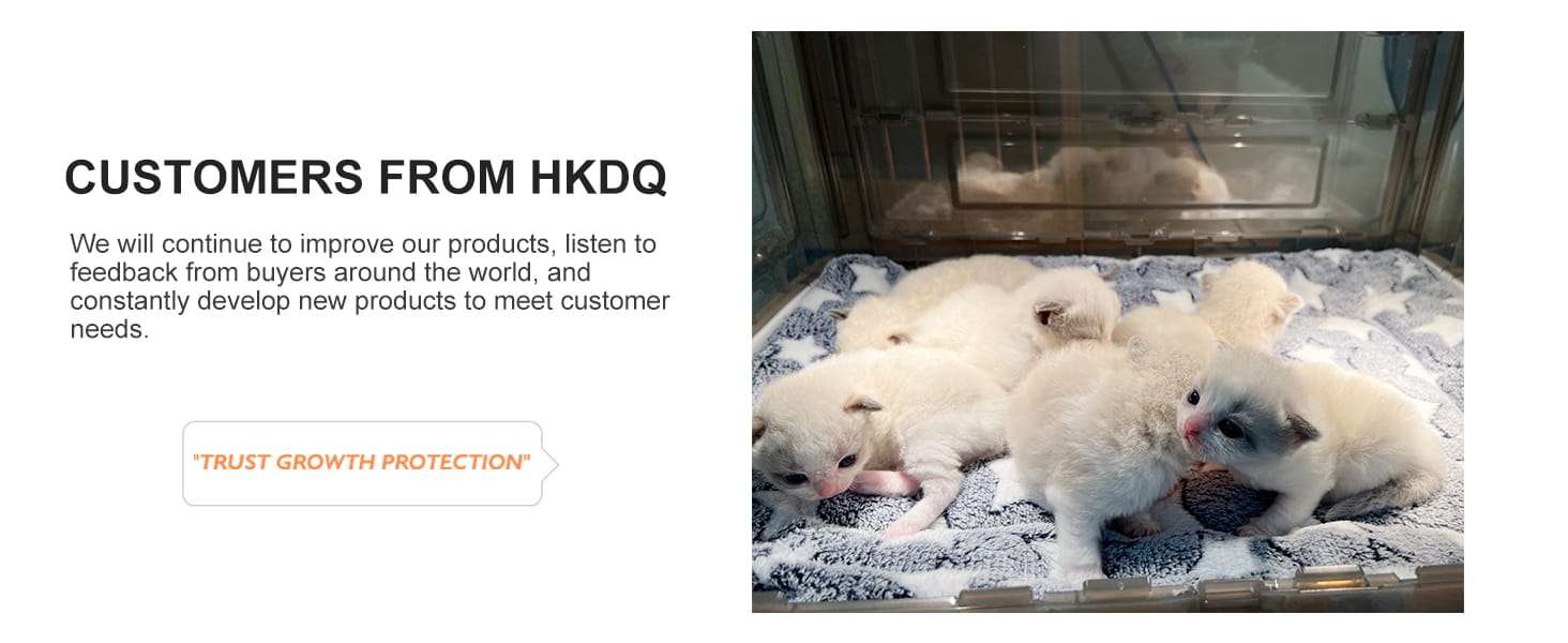 Incubadora transparente para cachorros y gatitos con lampara de calor ventilador y kit de alimentacion.