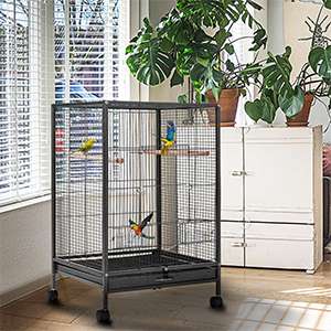Jaula de acero resistente para aves con base plana ruedas y accesorios incluidos