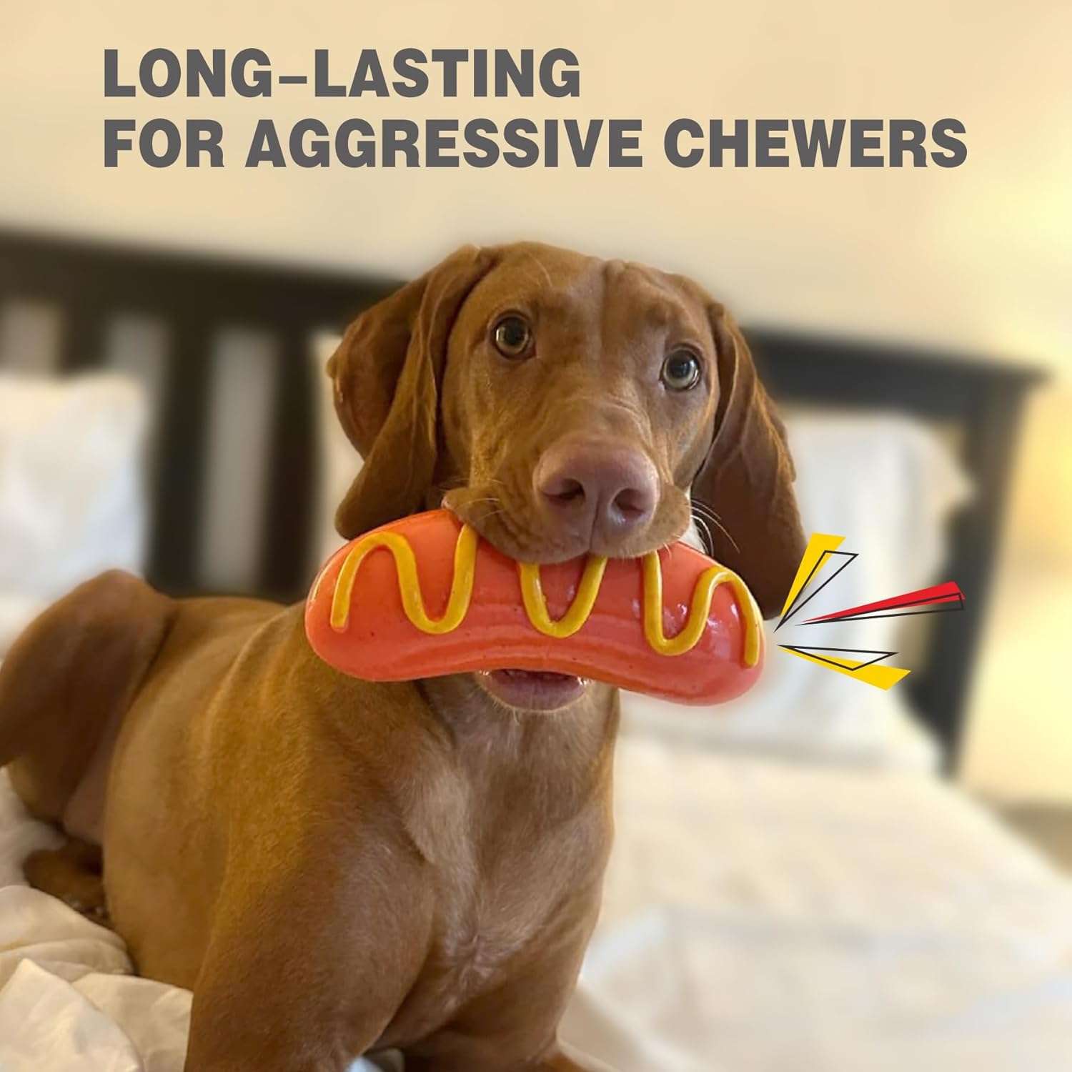 Juguete masticable de goma natural para perros con mordida fuerte y diseno divertido.