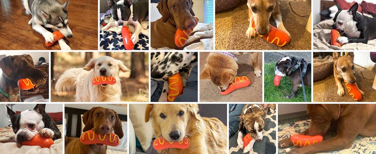 Juguete masticable de goma natural para perros con mordida fuerte y diseno divertido.