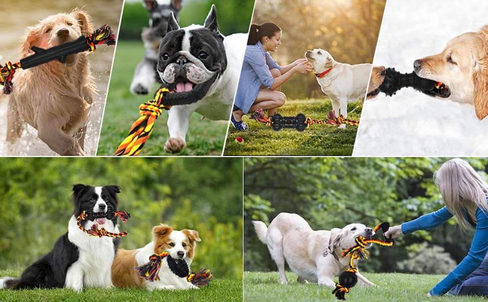Juguetes Duraderos para Perros 6 Piezas - Imagen 6