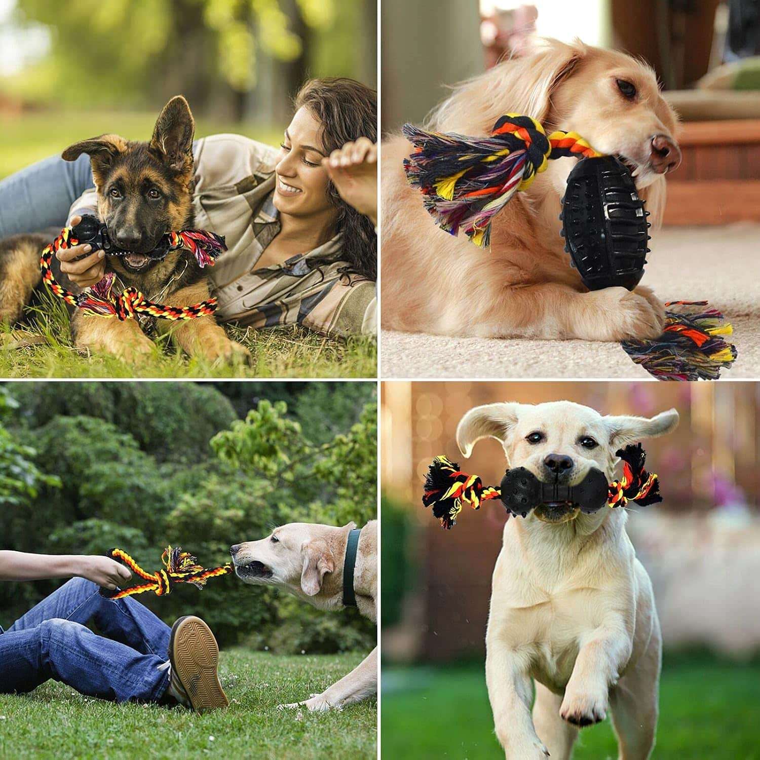 Juguetes Duraderos para Perros 6 Piezas - Imagen 4