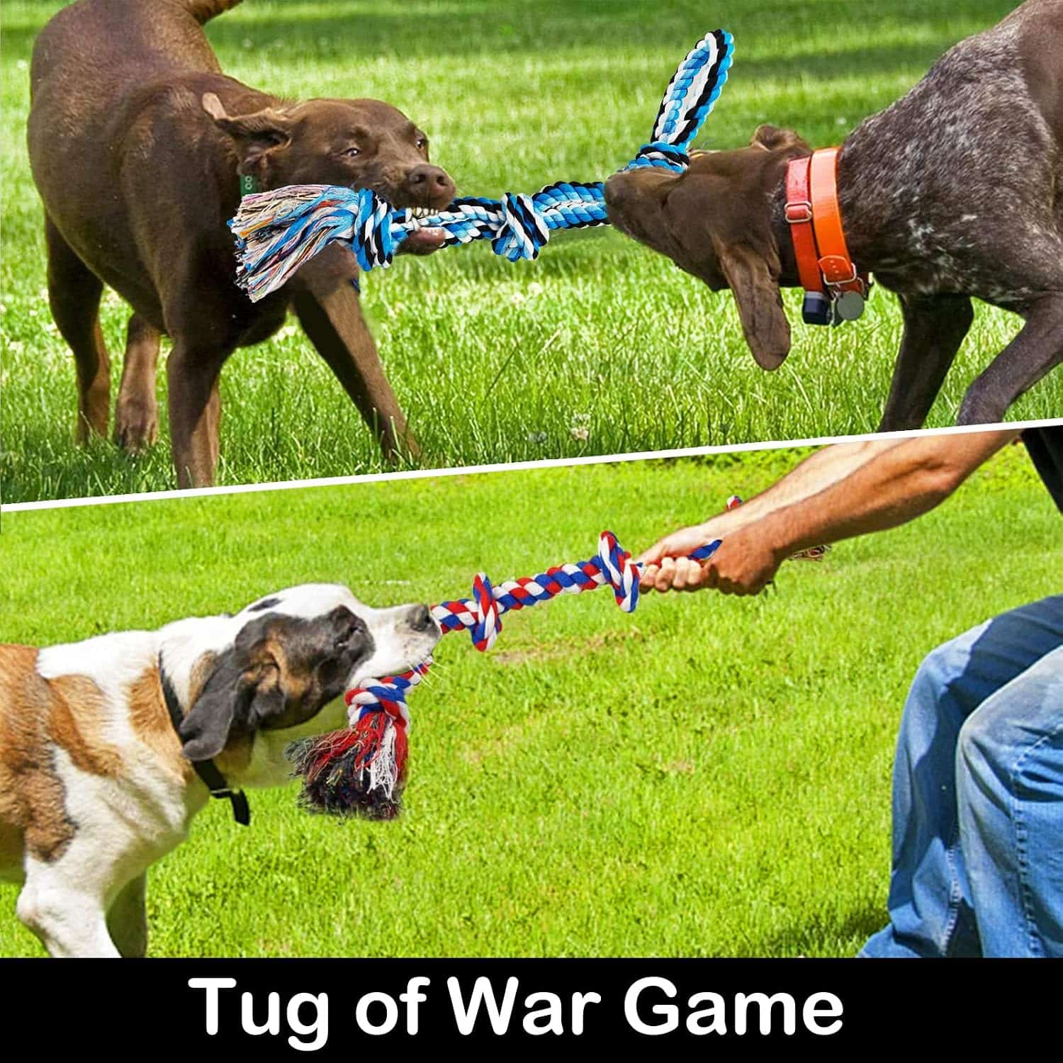 Juguetes de Cuerda Indestructibles para Perros Razas Grandes 12 Piezas - Imagen 7