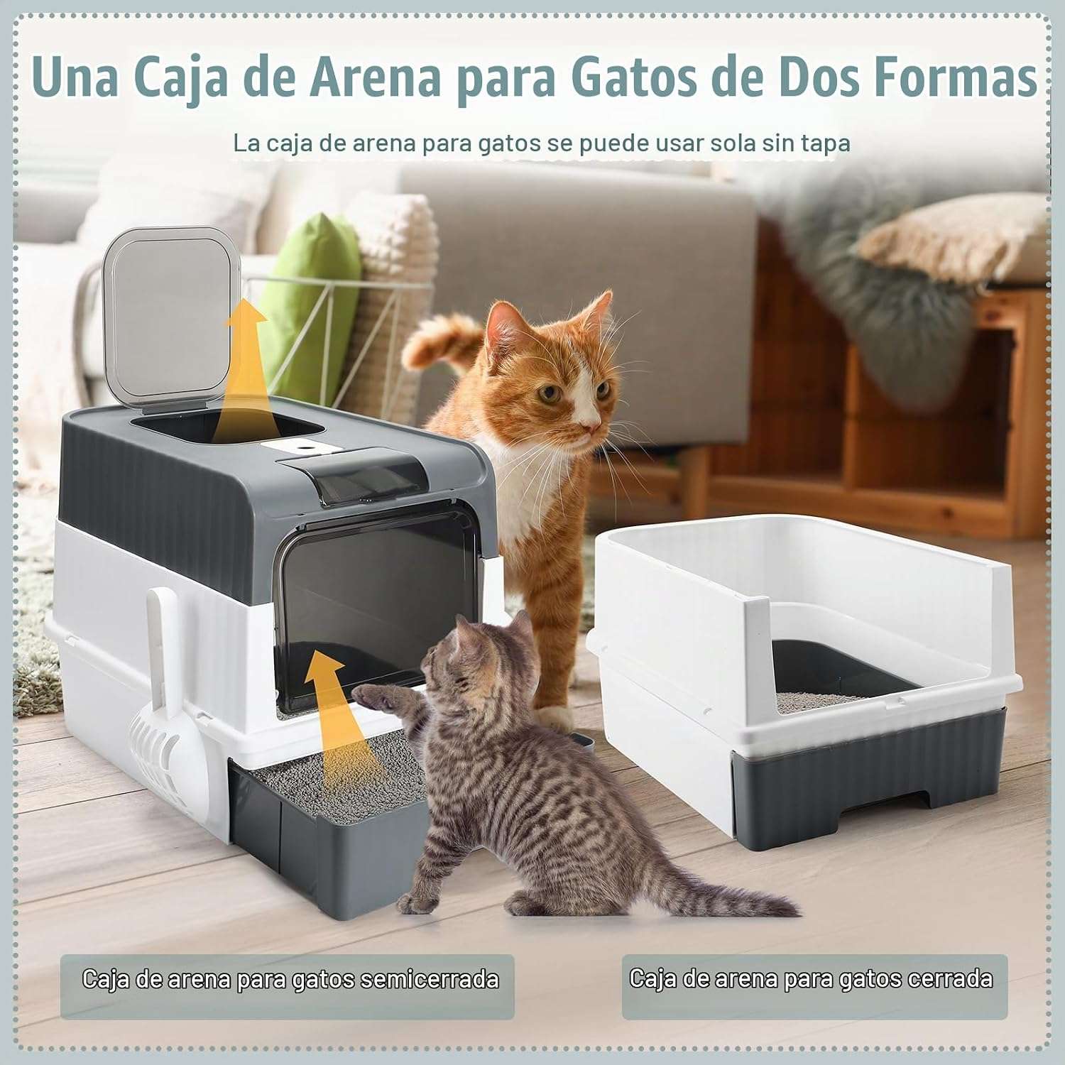 Kit de iniciación para gatitos con caja de arena, alfombrilla, comederos y juguetes.