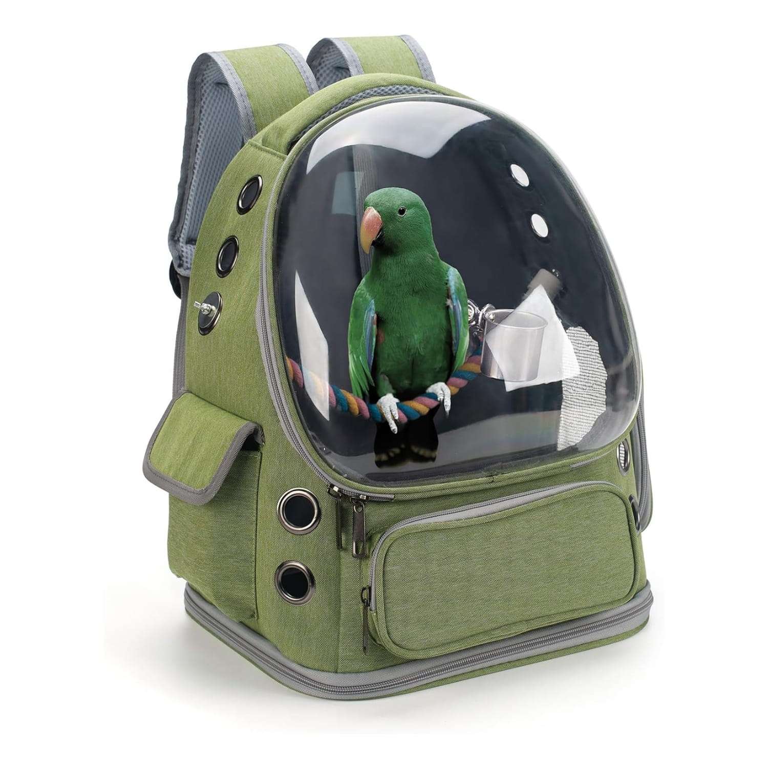 Mochila transportadora transparente para aves y mascotas con malla de ventilacion y accesorios
