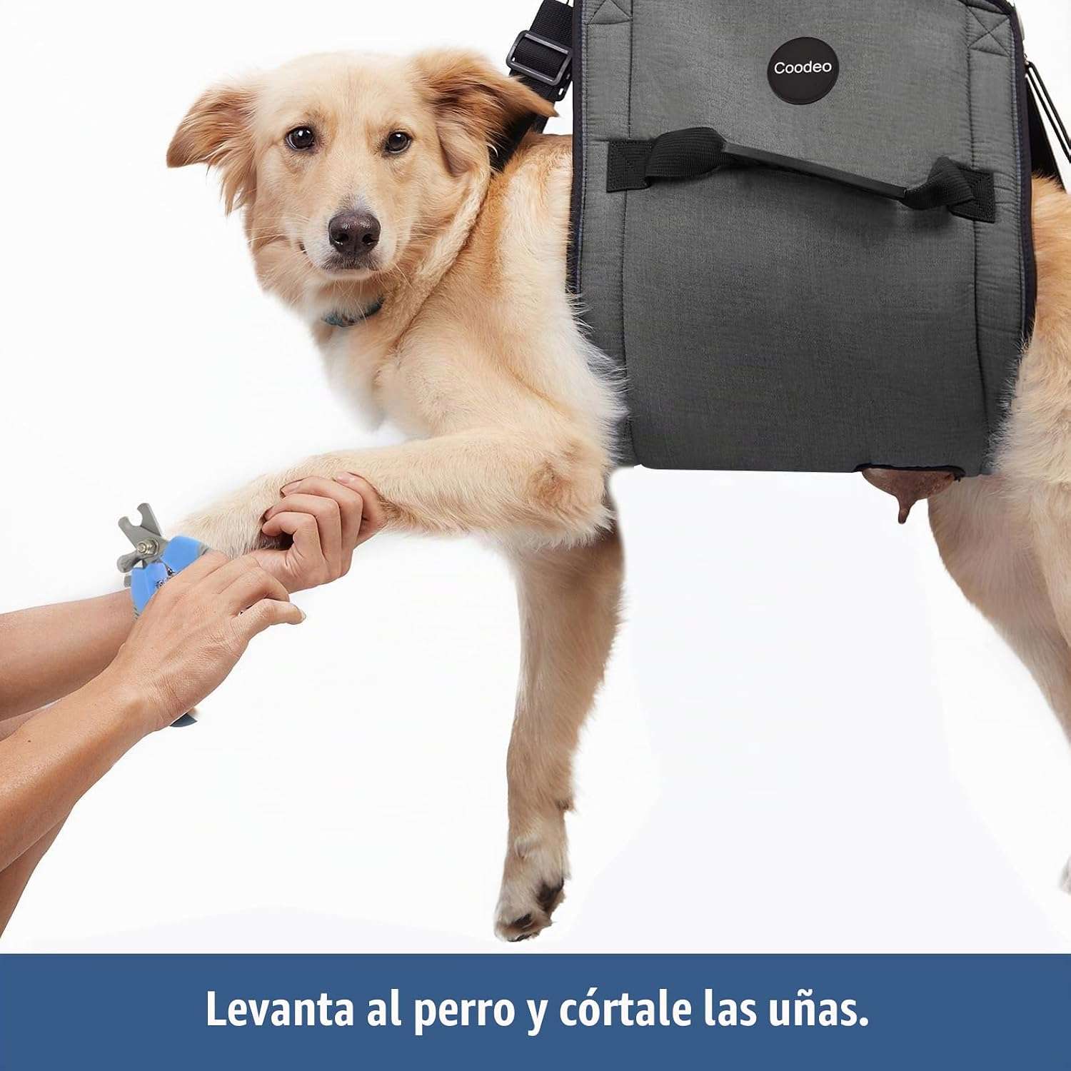 Arnés de soporte de cuerpo completo para perros mayores o con lesiones en las articulaciones.