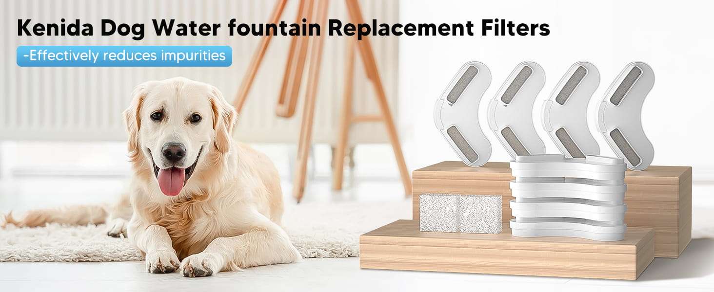 Pack de filtros de carbón activado y esponjas de repuesto para fuente de agua grande.