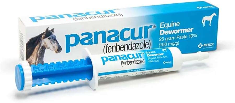 Pasta antiparasitaria Panacur 10% de fenbendazol para el control de parásitos en equinos.