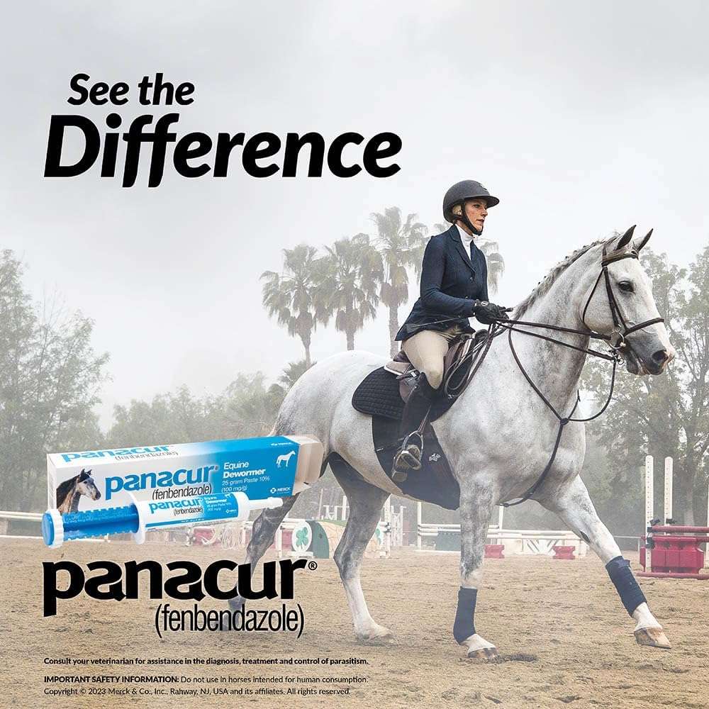 Pasta antiparasitaria Panacur 10% de fenbendazol para el control de parásitos en equinos.