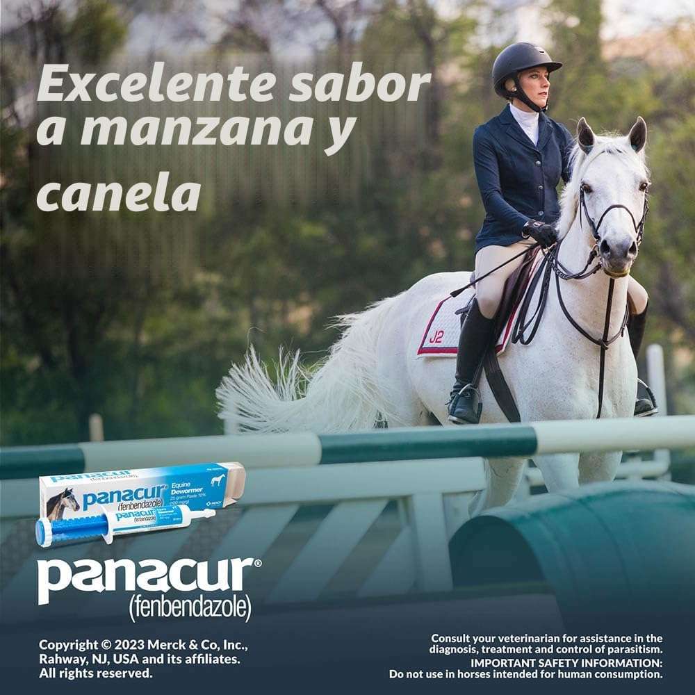 Pasta antiparasitaria Panacur 10% de fenbendazol para el control de parásitos en equinos.