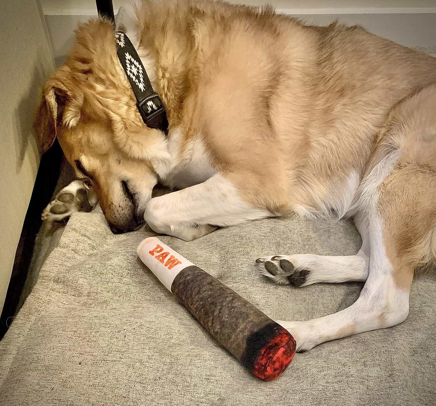 Juguete de peluche con sonido para perros en forma de cigarrillo divertido