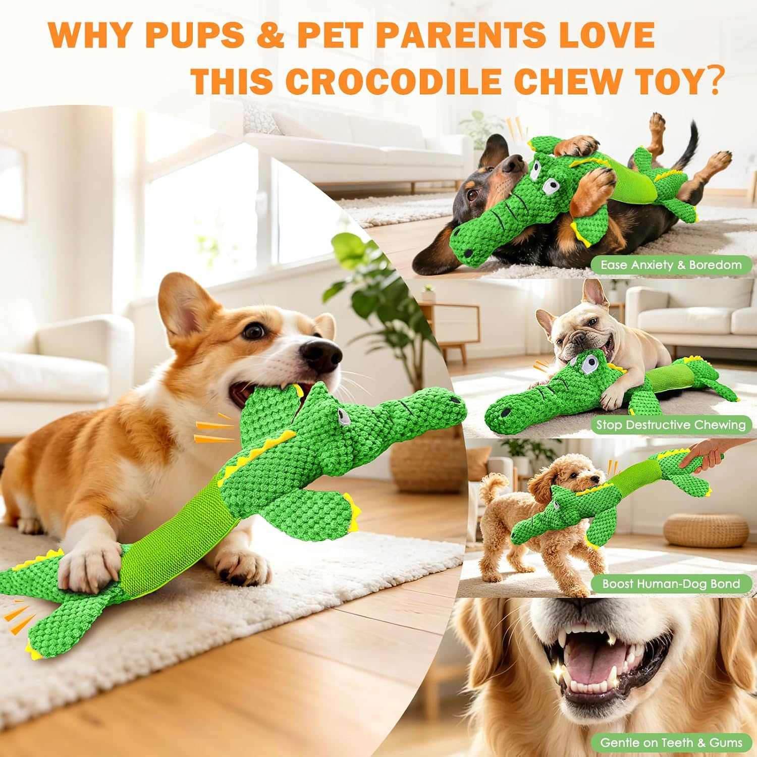 Juguete de peluche en forma de cocodrilo gigante estirable con sonido para perros grandes.