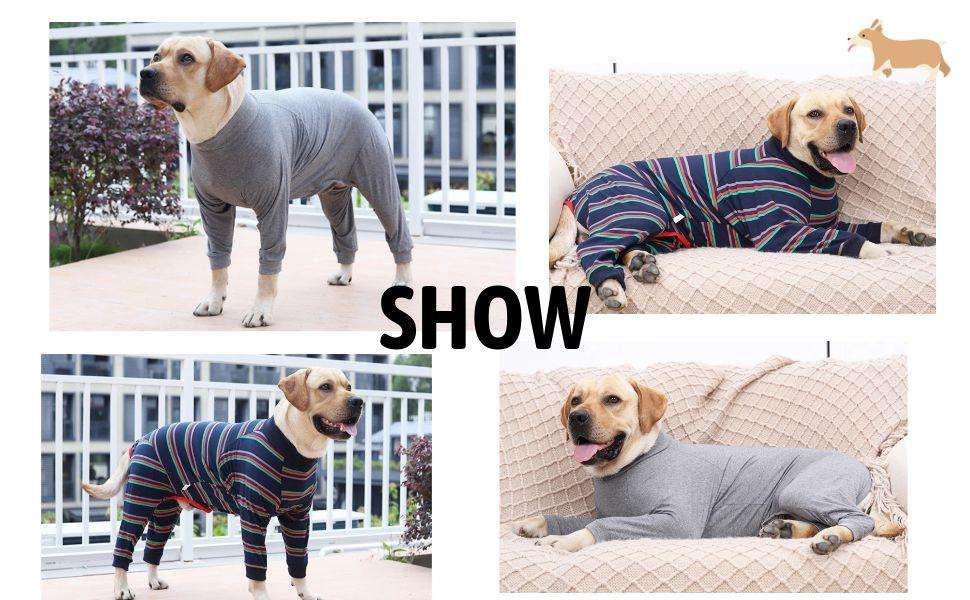 Traje de Recuperación Quirúrgica para Perros Medianos y Grandes XXL - Imagen 7