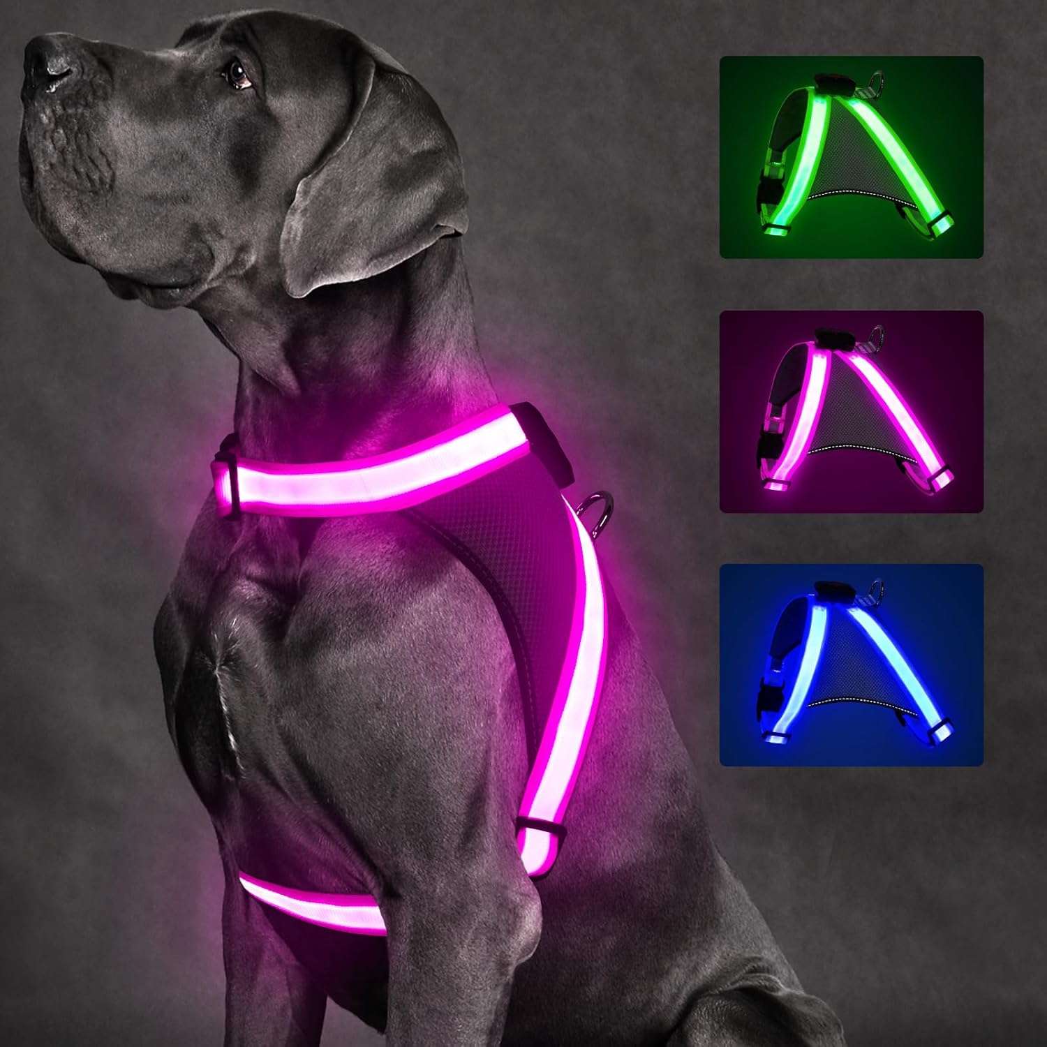 Arnes LED iluminado para perros con bateria recargable diseno antitirones y malla transpirable.