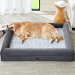 Cama Ortopédica Impermeable con Funda Extraíble Extra Grande para Mascotas - Image 9