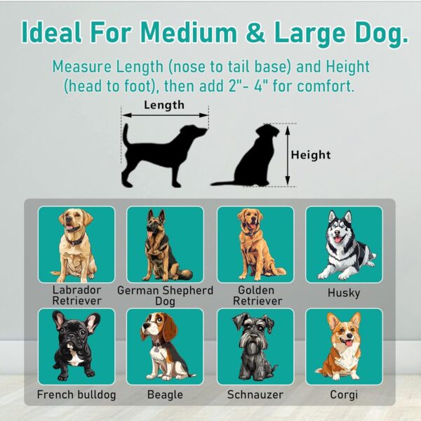 Jaula de Acero Plegable y Apilable para Perros - Doble Puerta, Bandeja Extraíble (109x71x90 cm) - Image 5