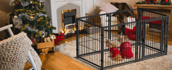 Jaula de Metal Grande para Perros y Gatos - 121x63x60 cm - Image 11