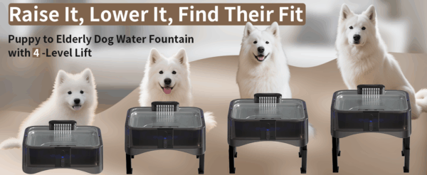 Fuente de agua elevada ajustable 2.2L para mascotas. Bebedero con 4 alturas, ideal para perros y gatos de diferentes tamaños o con problemas articulares.