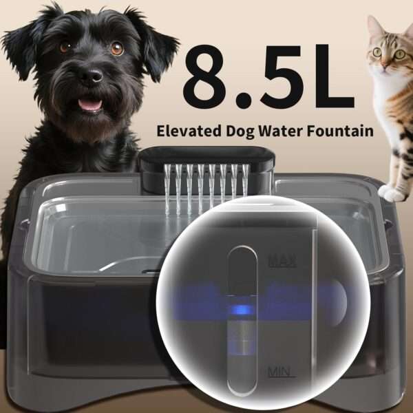 Fuente de agua elevada ajustable 2.2L para mascotas. Bebedero con 4 alturas, ideal para perros y gatos de diferentes tamaños o con problemas articulares.