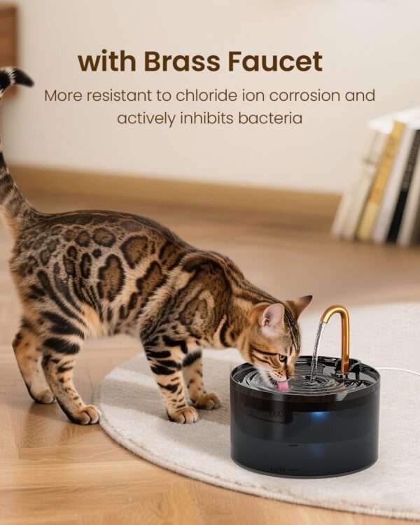 Fuente de agua para mascotas 2.1L con grifo. Bebedero que imita un chorro de agua, ideal para perros y gatos que prefieren beber de un grifo.
