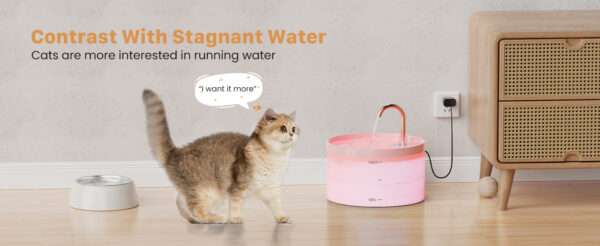 Fuente de agua para mascotas 2L con grifo. Bebedero con chorro de agua, ideal para perros y gatos que prefieren beber directamente del grifo.